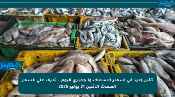 تغير جديد في أسعار الأسماك والجمبري اليوم.. تعرف على السعر المحدث الإثنين 21 يوليو 2025
